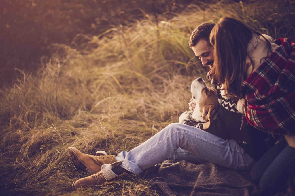The guide on choosing your best life mate